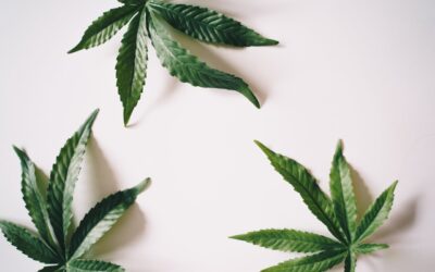 Correlatie cannabis gebruik en brusixme